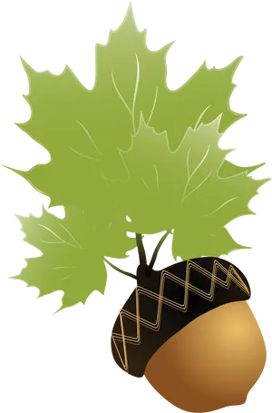 Acornand Maple Leaves Illustration PNG Image