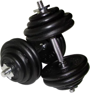 Adjustable Weight Dumbbells PNG Image