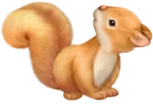 Adorable Cartoon Squirrel PNG Image