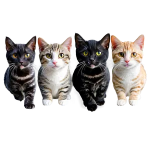 Adorable Cats PNG 06202024 PNG