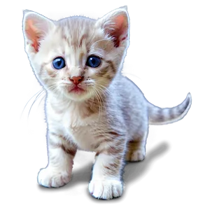 Adorable Kitten Png Hfx PNG Image