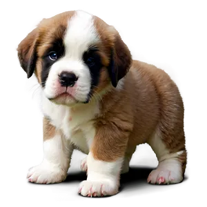 Adorable Saint Bernard Puppy Png Upj PNG Image