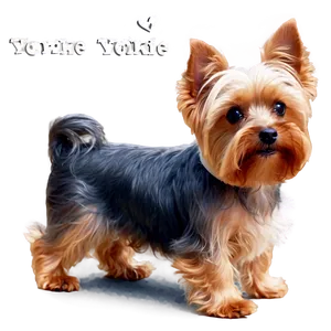 Adorable Yorkie Dog Png 06242024 PNG Image