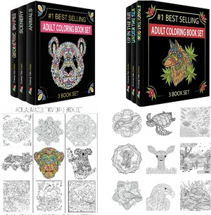 Adult Coloring Book Set Showcase PNG Image