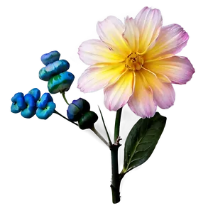 Aesthetic Flowers B PNG Image