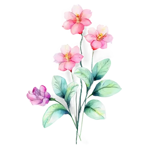 Aesthetic Flowers Watercolor Png Owq PNG Image