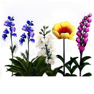 Aesthetic Garden Flowers Png Upp32 PNG Image