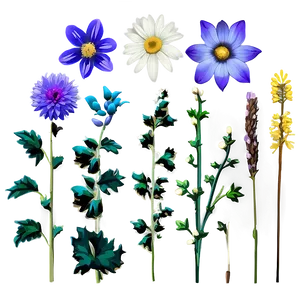 Aesthetic Wildflowers Collection Png 06282024 PNG Image