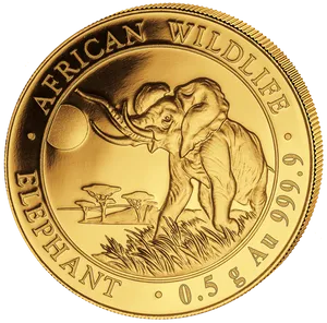 African Wildlife Elephant Gold Coin PNG Image