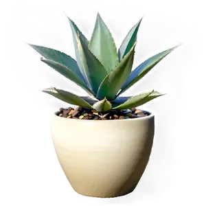 Agave In Pot Png 76 PNG Image