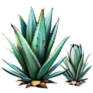 Agave Plant Png Jsl PNG Image