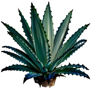 Agave Silhouette Png Sap PNG Image