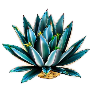 Agave Vector Art Png 15 PNG Image