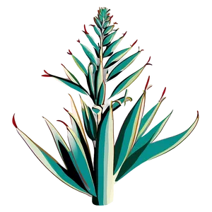 Agave Vector Art Png 59 PNG Image