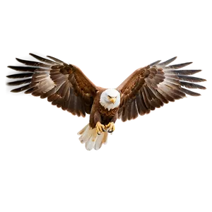 Aguila Outline Png Wwk91 PNG Image