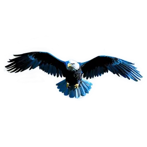 Aguila Outline Png Yre PNG Image