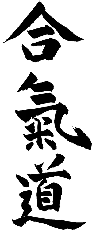 Aikido Kanji Calligraphy PNG Image