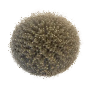 Airborne Dust Particles Texture Png Gil PNG Image