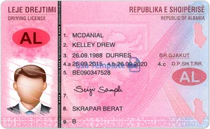 Albanian Driving License Sample PNG Image