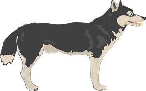 Alert Black Wolf Illustration PNG Image