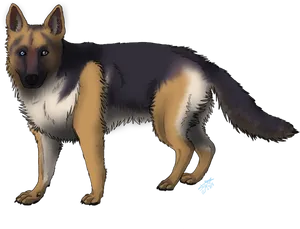 Alert German Shepherd Illustration PNG Image