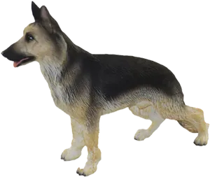 Alert German Shepherd Walking PNG Image