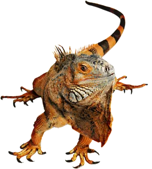 Alert Iguanaonthe Move PNG Image