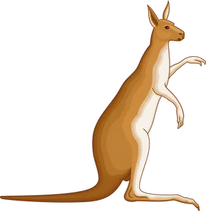 Alert Kangaroo Illustration PNG Image