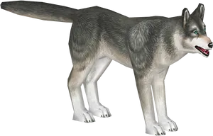 Alert Siberian Husky Standing PNG Image