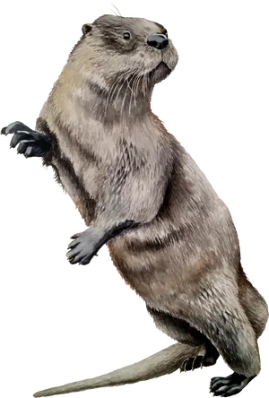 Alert Standing Otter Illustration PNG Image