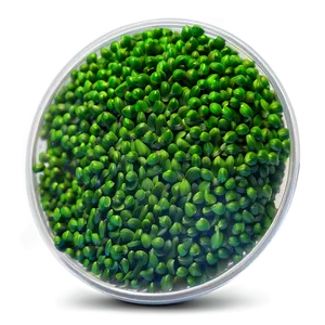 Algae Biofuel Concept Png 06212024 PNG Image