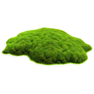 Algae Texture Background Png Dxx PNG Image