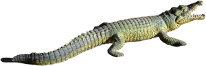 Alligator Sunbathingon Bank PNG Image