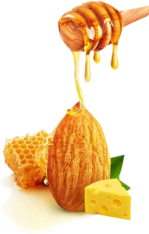 Almond Honey Cheese Combination PNG Image