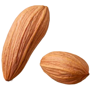 Almond Nut Png 20 PNG Image