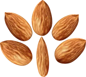 Almonds Cluster Transparent Background PNG Image