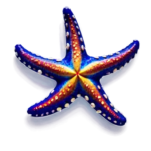 Aloha Starfish Pattern Png Sip78 PNG Image