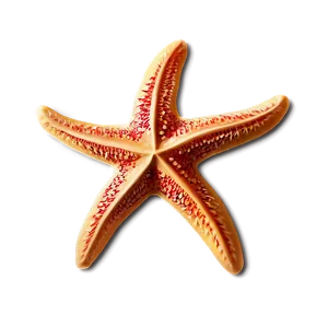 Aloha Starfish Pattern Png Xru PNG Image