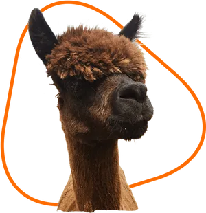 Alpaca Portraitwith Orange Halo PNG Image