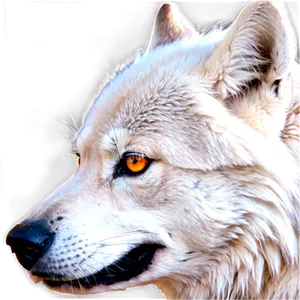 Alpha Wolf Eyes Png 06292024 PNG Image