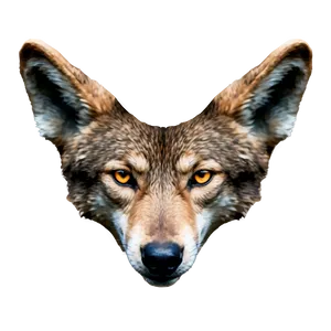 Alpha Wolf Eyes Png Kse54 PNG Image