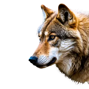 Alpha Wolf Spirit Animal Png Lun46 PNG Image