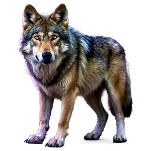 Alpha Wolf With Glowing Eyes Png Iyh PNG Image