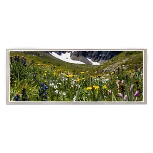 Alpine Wildflowers Panorama Png Tcl21 PNG Image