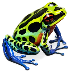 Amazon Poison Dart Frog Png 19 PNG Image