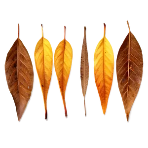 Amber Leaves Fall Png Kmn68 PNG Image