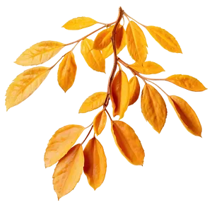 Amber Leaves Fall Png Msk61 PNG Image