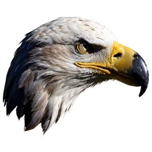 American Eagle Head Png Qwb PNG Image