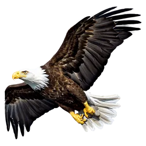 American Eagle In Flight Png 95 PNG Image