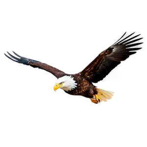 American Eagle In Flight Png Ehd PNG Image